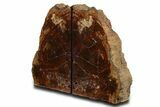 Tall Arizona Petrified Wood Bookends - Red and Purple #338262-2